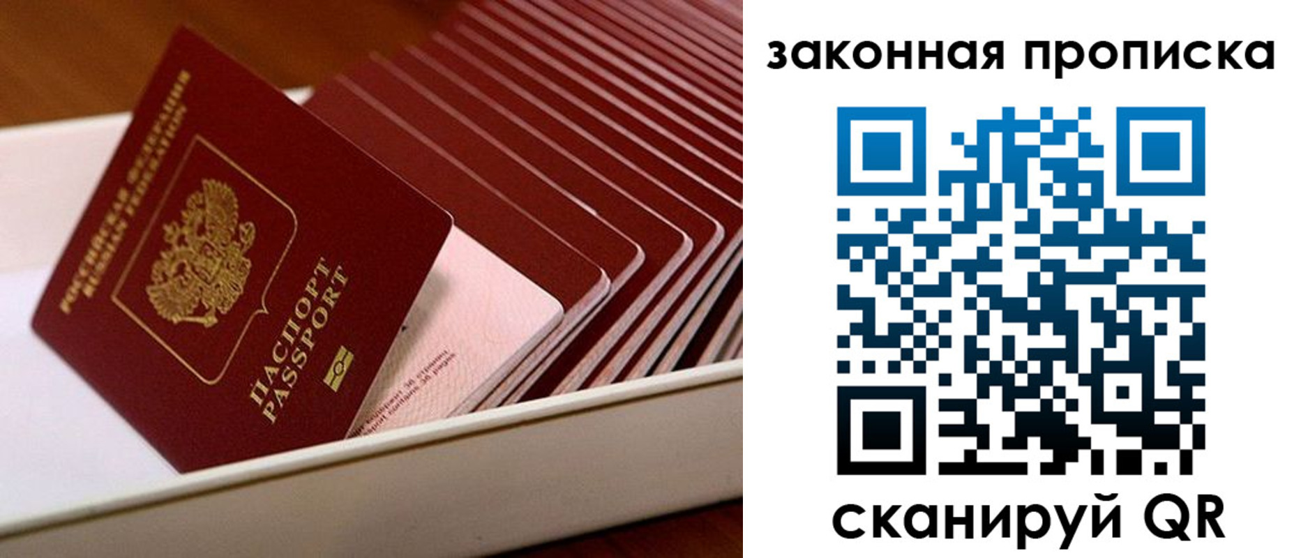 прописка 2025 в Королёве